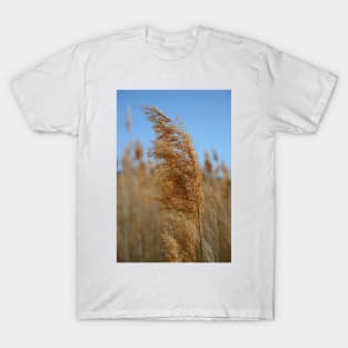 Grass of the Salt Lake T-Shirt